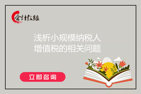 浅析小规模纳税人增值税的相关问题