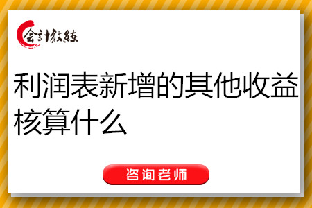 利潤表新增的其他收益核算什么