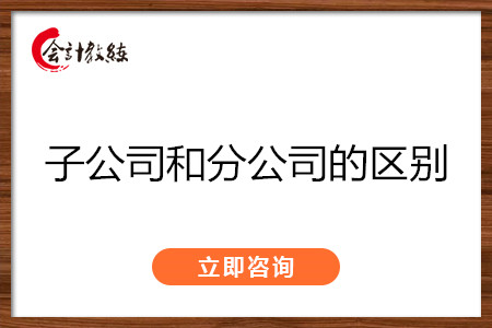 子公司和分公司的區(qū)別