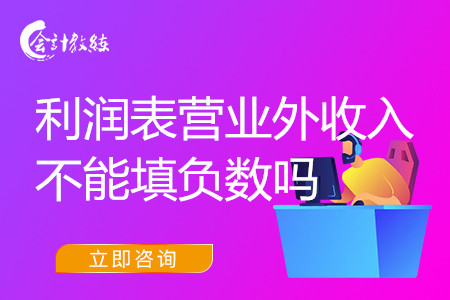 利潤表營業(yè)外收入不能填負(fù)數(shù)嗎