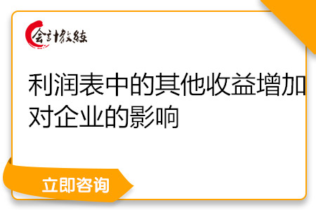 利潤表中的其他收益增加對企業(yè)的影響