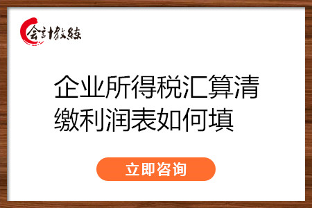 企業(yè)所得稅匯算清繳利潤表如何填