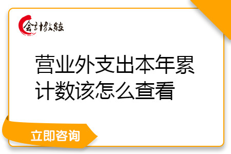 营业外支出本年累计数该怎么查看