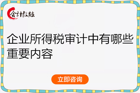 企業(yè)所得稅審計(jì)中有哪些重要內(nèi)容