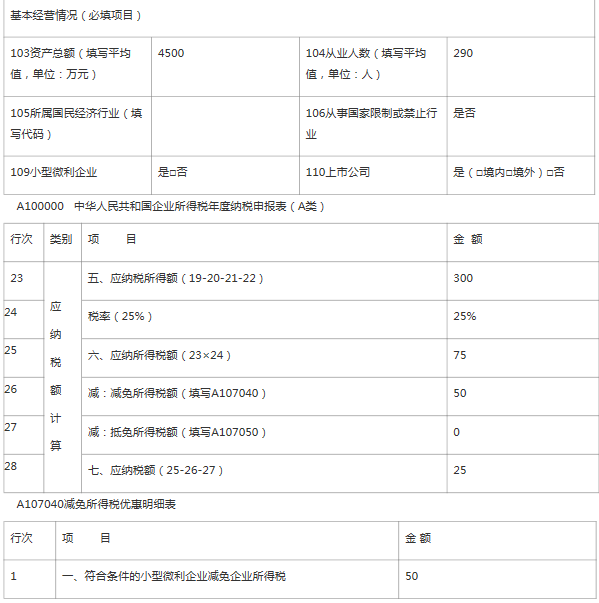 企業(yè)所得稅年度納稅申報基礎信息表