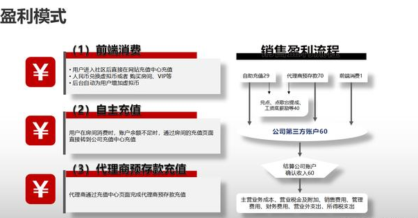 公司盈利模式分析