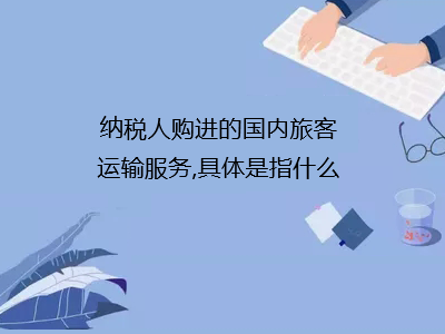 納稅人購進的國內旅客運輸服務,具體是指什么