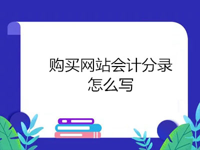 购买网站会计分录怎么写