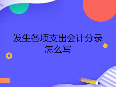 发生各项支出会计分录怎么写