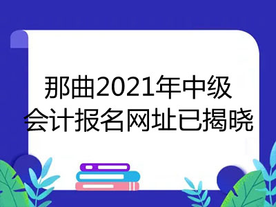 那曲2021年中級(jí)會(huì)計(jì)報(bào)名網(wǎng)址已揭曉