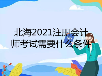 北海2021注册会计师考试需要什么条件