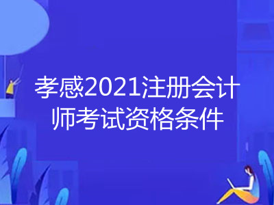 孝感2021注冊會計(jì)師考試資格條件