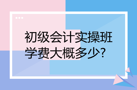 初級會計實操班學(xué)費大概多少?