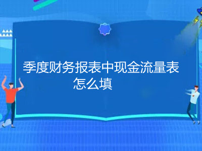 季度财务报表中现金流量表怎么填