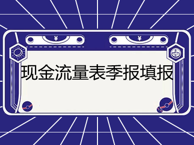 现金流量表季报填报