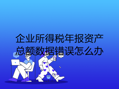 企業(yè)所得稅年報(bào)資產(chǎn)總額數(shù)據(jù)錯(cuò)誤怎么辦