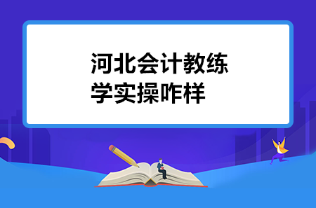 河北会计教练学实操咋样