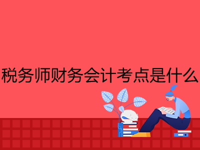 税务师财务会计考点是什么