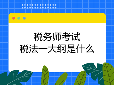 税务师考试税法一大纲是什么