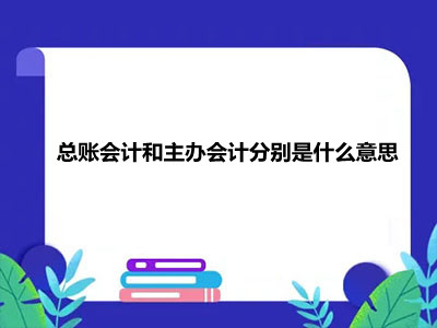 總賬會計和主辦會計分別是什么意思