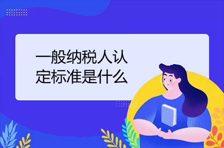 一般纳税人认定标准是什么