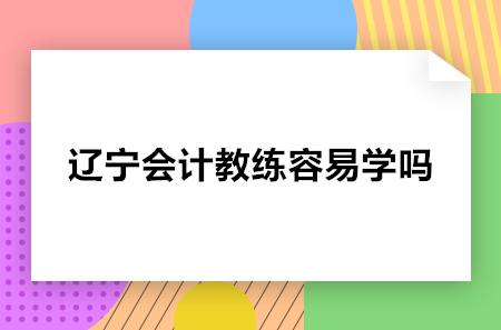 辽宁会计教练容易学吗