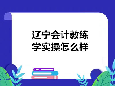 遼寧會(huì)計(jì)教練學(xué)實(shí)操怎么樣