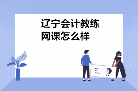 辽宁会计教练网课怎么样