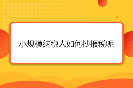 小规模纳税人如何抄报税呢