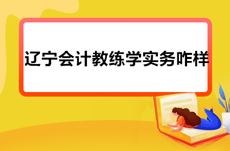 辽宁会计教练学实务咋样