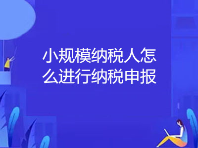 小規(guī)模納稅人怎么進行納稅申報