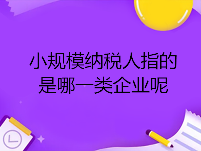 小規(guī)模納稅人指的是哪一類企業(yè)呢