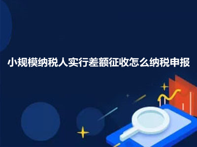 小規(guī)模納稅人實行差額征收怎么納稅申報