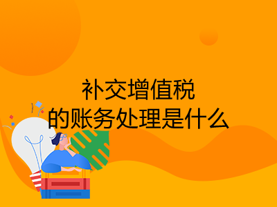 补交增值税的账务处理是什么