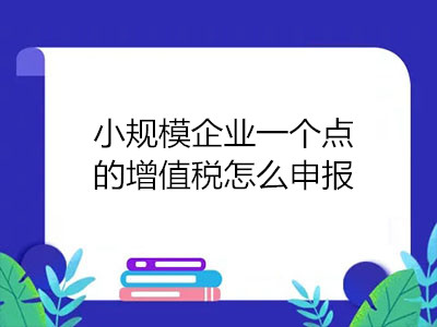 小規(guī)模企業(yè)一個(gè)點(diǎn)的增值稅怎么申報(bào)