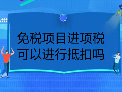 免稅項目進項稅可以進行抵扣嗎