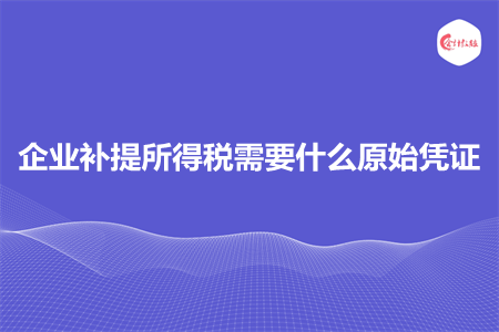 企业补提所得税需要什么原始凭证