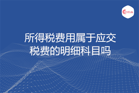 所得稅費用屬于應(yīng)交稅費的明細科目嗎