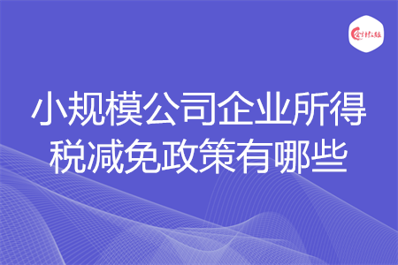 小規(guī)模公司企業(yè)所得稅減免政策有哪些