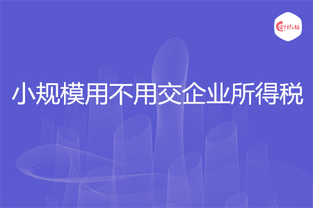 小規(guī)模用不用交企業(yè)所得稅