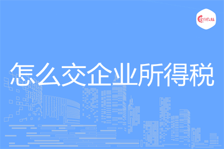 怎么交企業(yè)所得稅