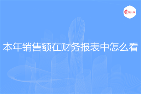 本年销售额在财务报表中怎么看