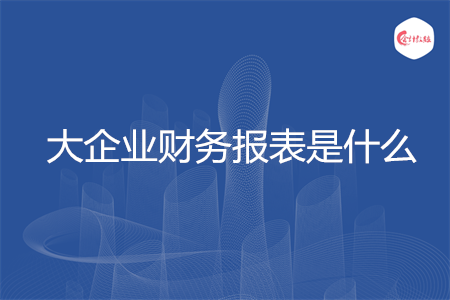 大企業(yè)財務(wù)報表是什么