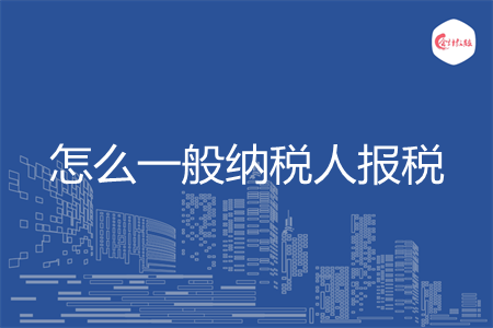怎么一般纳税人报税