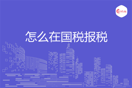 怎么在国税报税