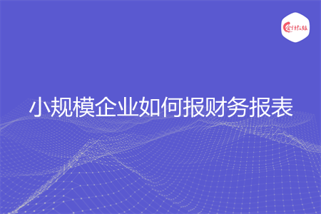 小规模企业如何报财务报表