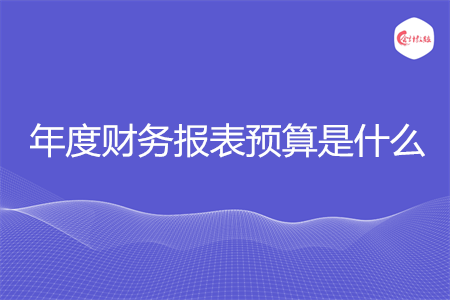 年度财务报表预算是什么