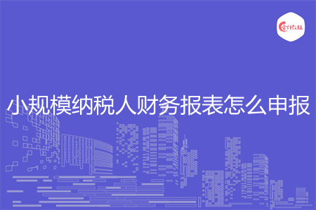 小规模纳税人财务报表怎么申报