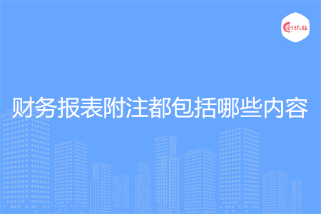 财务报表附注都包括哪些内容