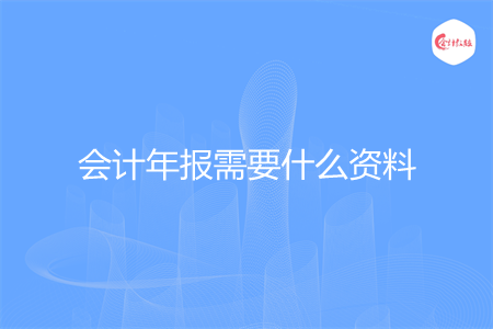 会计年报需要什么资料